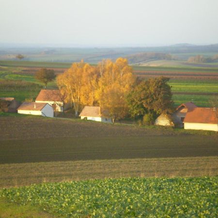 Gaestezimmer Rieder Staatz Exterior photo