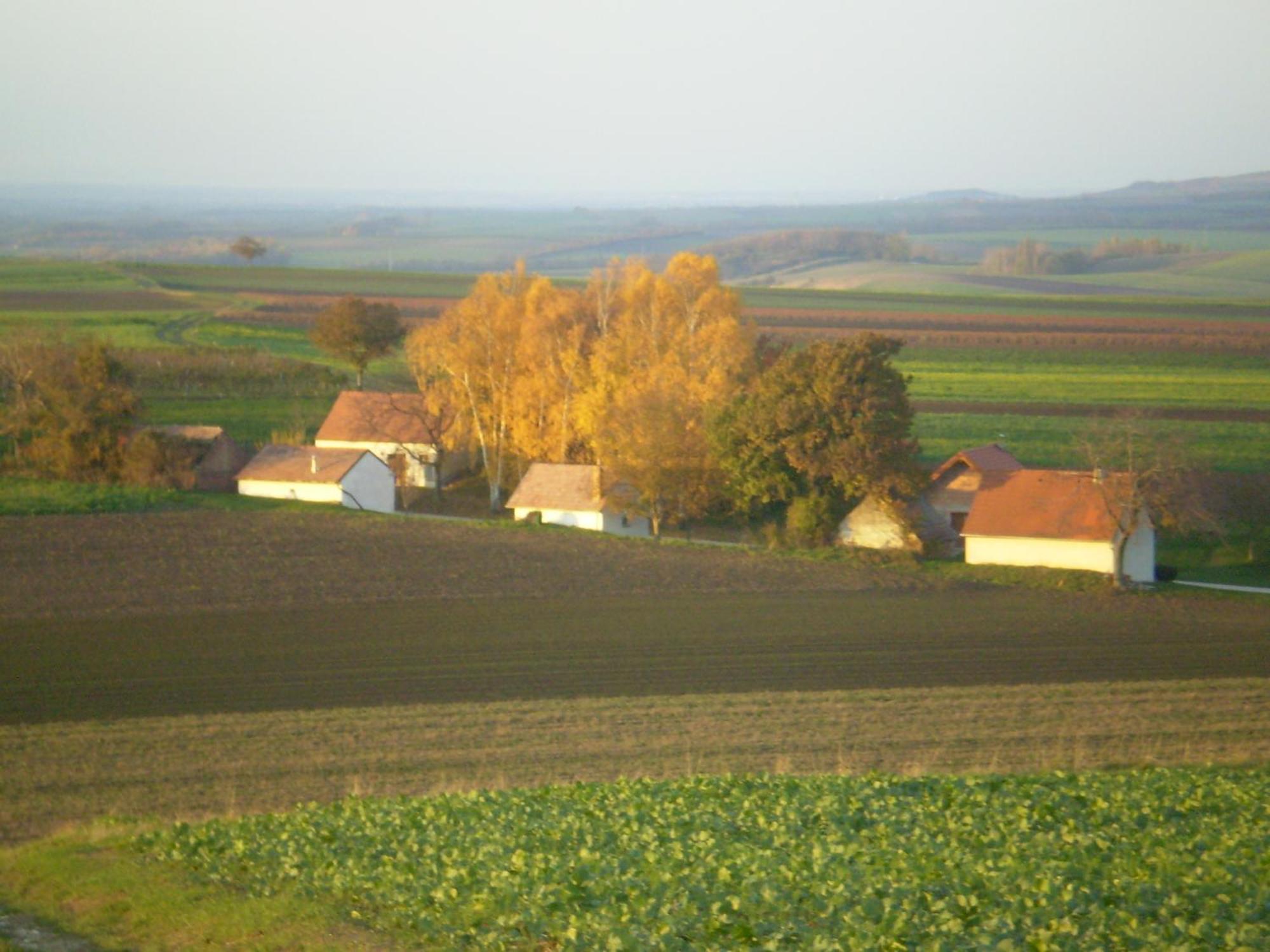 Gaestezimmer Rieder Staatz Exterior photo